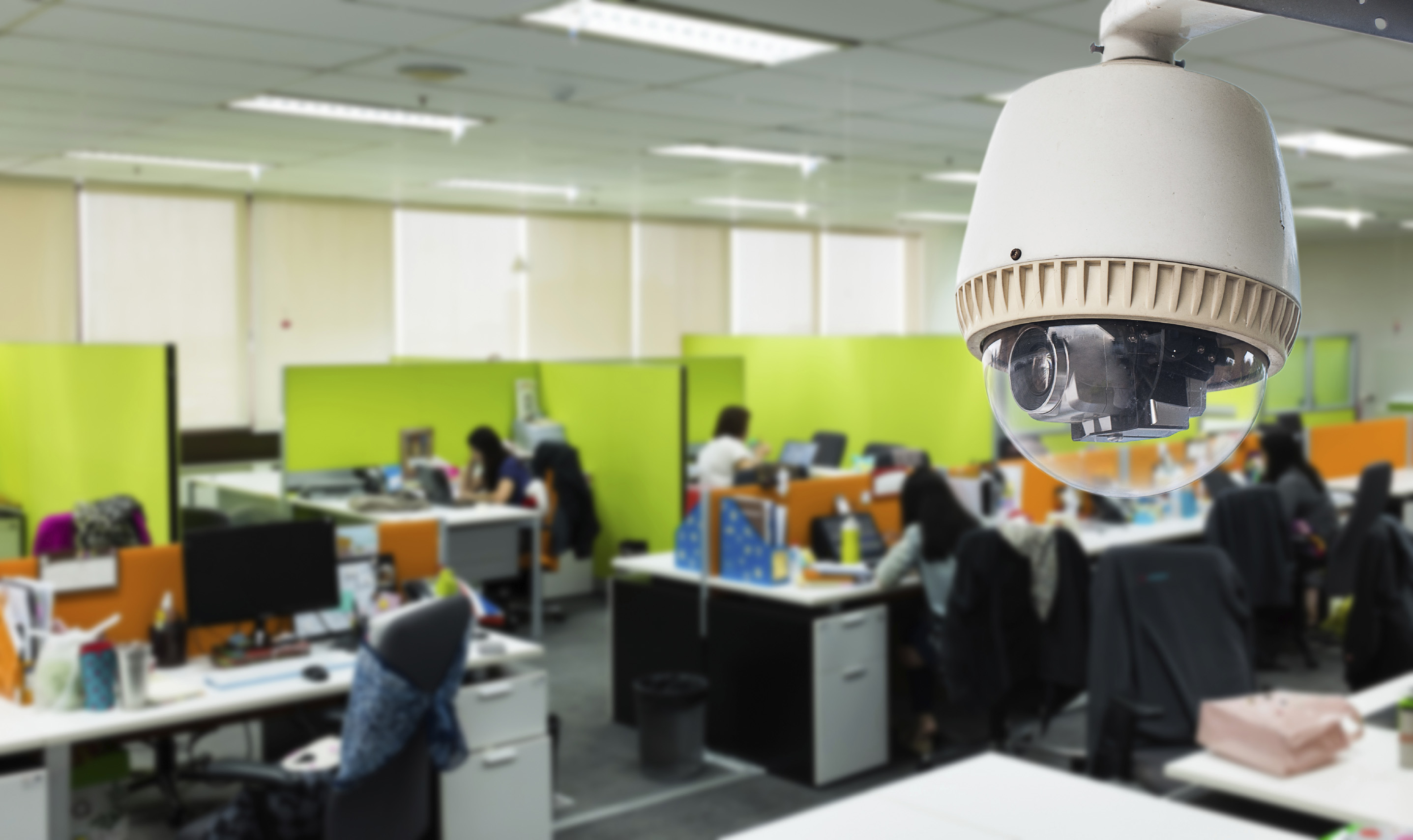 cat-s-away-mice-will-play-workplace-video-surveillance-byte-back